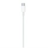 CABLE DE CARGA USB-C  (2M)