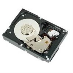 DISCO DURO DELL 2 TB 7.2K RPM SATA 6GBPS 3.5 PULGADAS MOD. 400-AUST CABLEADO PARA SERVIDORES T140, R240